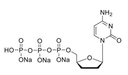 [C759810-500μl] ddCTP (10mM) (500μl)