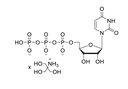 [U759858-1ml] UTP (100mM, Tris Buffered) (1ml)