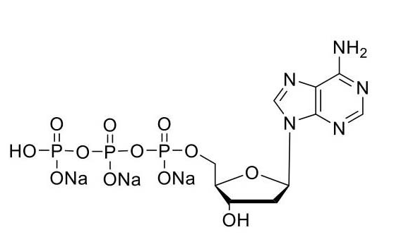 UltraPure dATP (100mM)