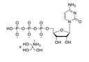 [C759860-1ml] CTP (100mM, Tris Buffered) (1ml)