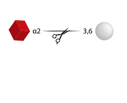 Neuraminidase Cp